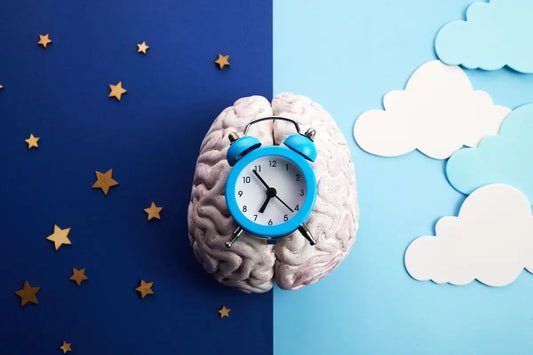 7 Important Reasons To Sleep Within Your Circadian Rhythm